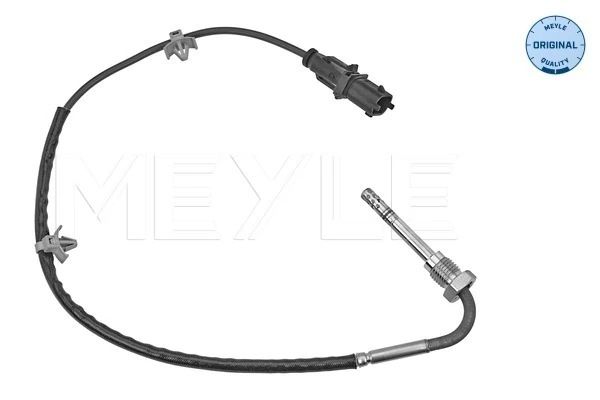 Sensor, exhaust gas temperature