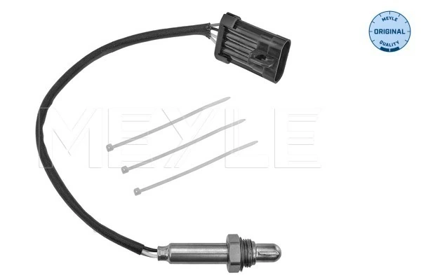 Oxygen Sensor