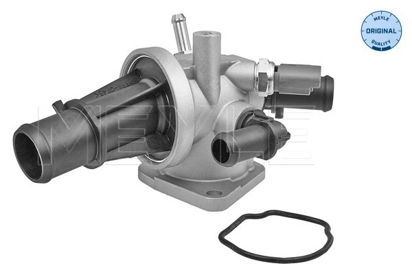 Thermostat, coolant
