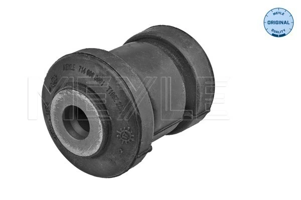 Mounting, control/trailing arm