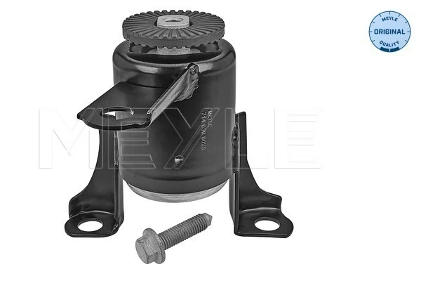 Mounting, engine