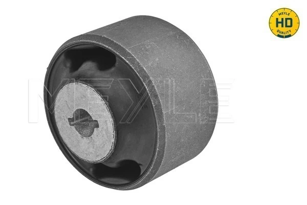 Mounting, control/trailing arm