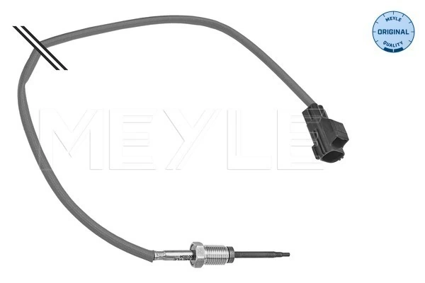 Sensor, exhaust gas temperature