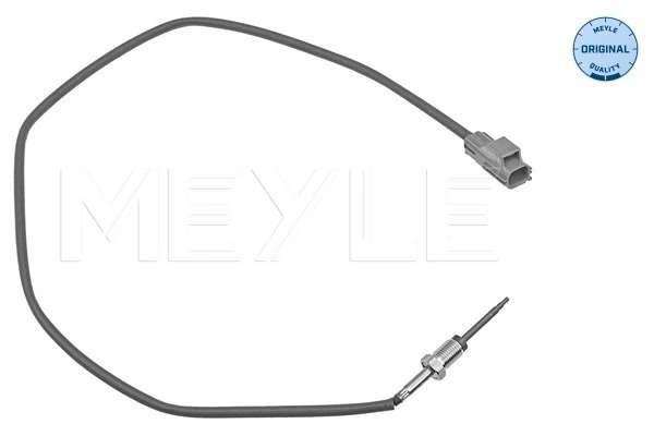 Sensor, exhaust gas temperature