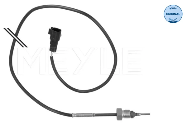 Sensor, exhaust gas temperature