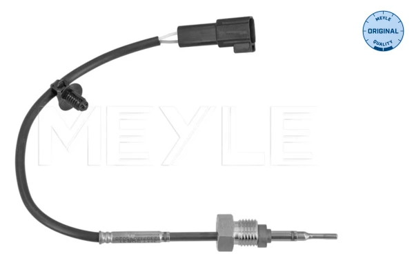 Sensor, exhaust gas temperature