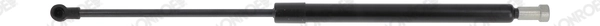 Gas Spring, boot/cargo area