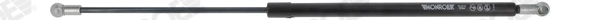 Gas Spring, boot/cargo area