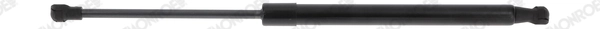 Gas Spring, boot/cargo area