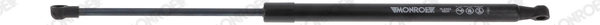 Gas Spring, boot/cargo area