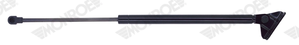 Gas Spring, boot/cargo area