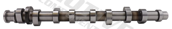 Camshaft