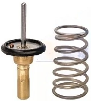 Thermostat, coolant