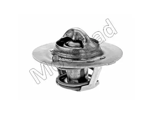 Thermostat, coolant