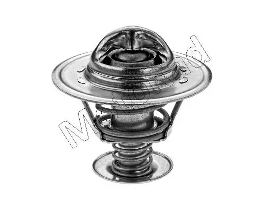 Thermostat, coolant
