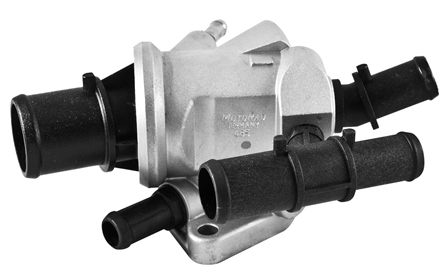 Thermostat, coolant