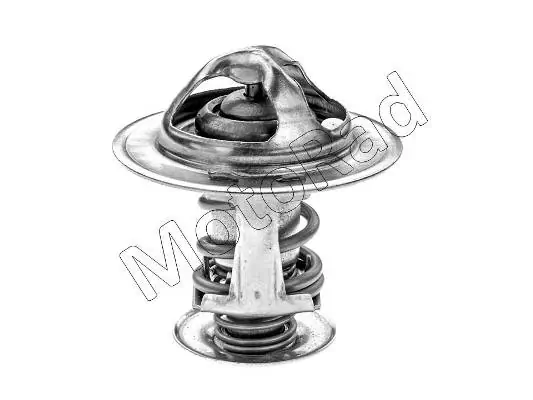 Thermostat, coolant
