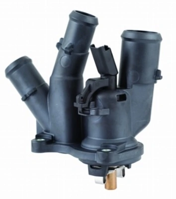 Thermostat, coolant