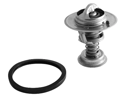 Thermostat, coolant