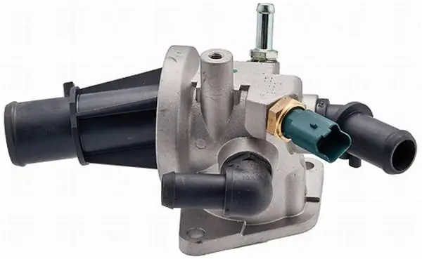 Thermostat, coolant