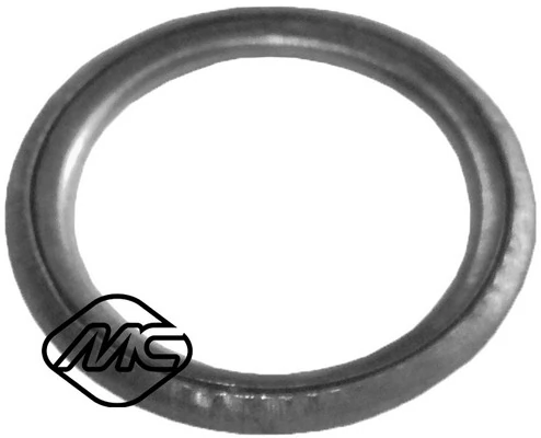 Seal Ring, oil drain plug