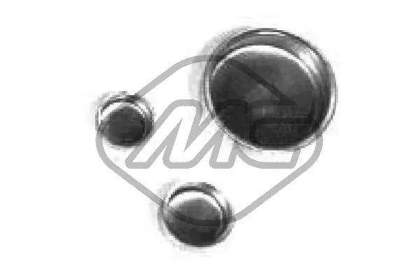 Frost Plug