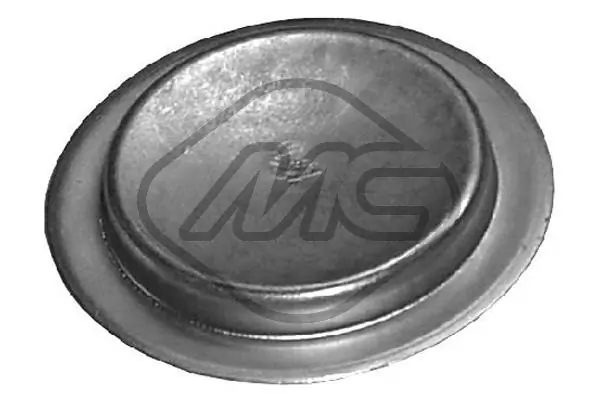 Frost Plug