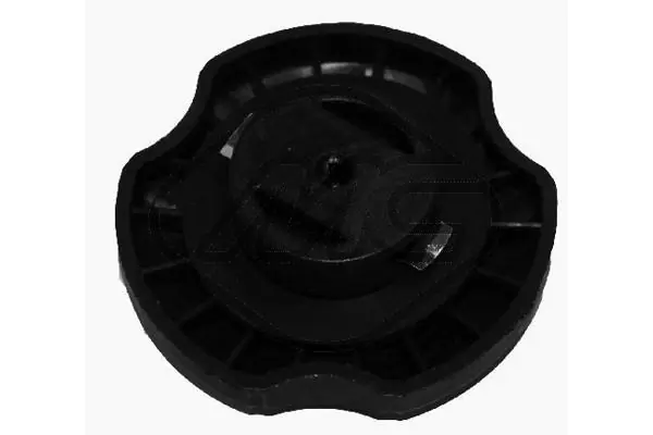 Sealing Cap, oil filler neck