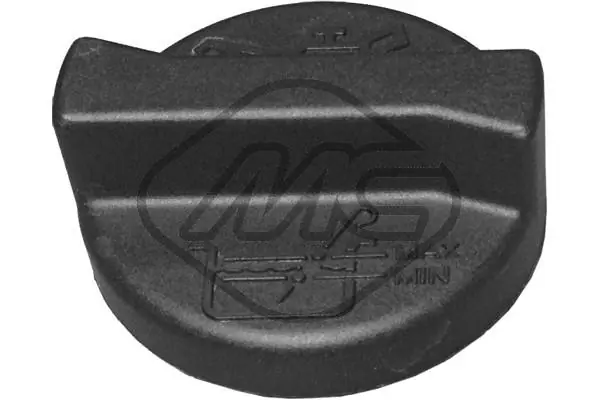 Sealing Cap, oil filler neck