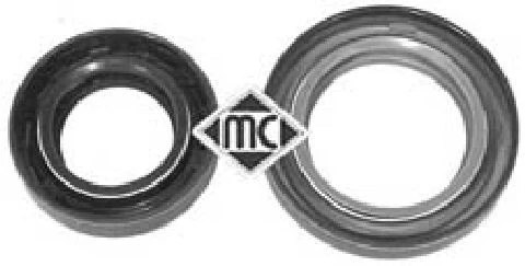 Shaft Seal, differential