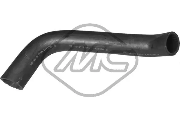 Radiator Hose