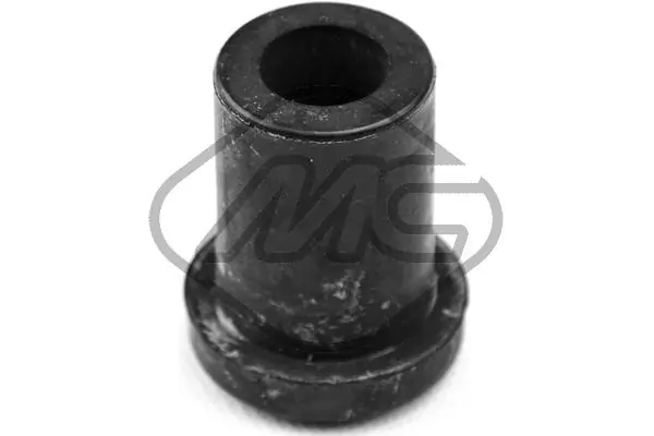 Bushing, leaf spring