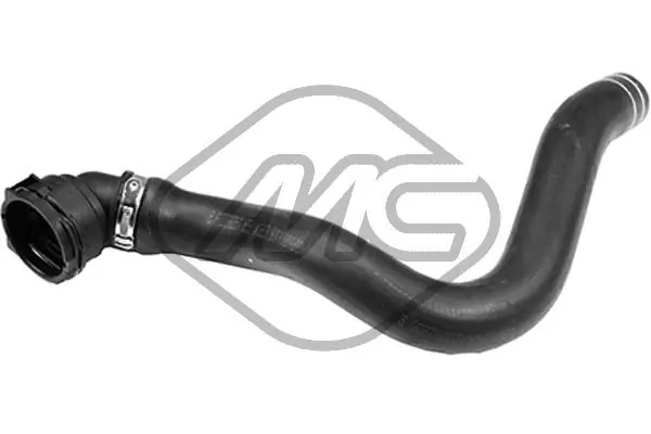Radiator Hose