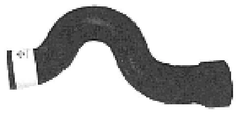 Radiator Hose