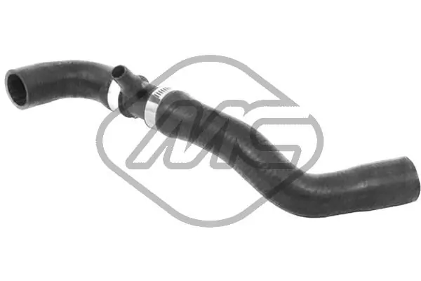 Radiator Hose