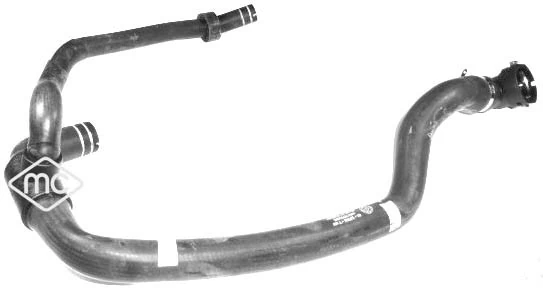 Radiator Hose