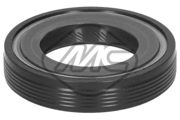 Shaft Seal, differential
