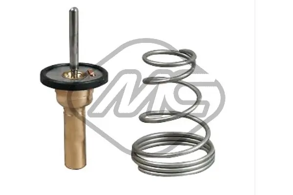 Thermostat, coolant