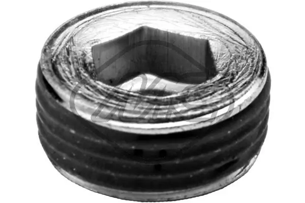 Frost Plug