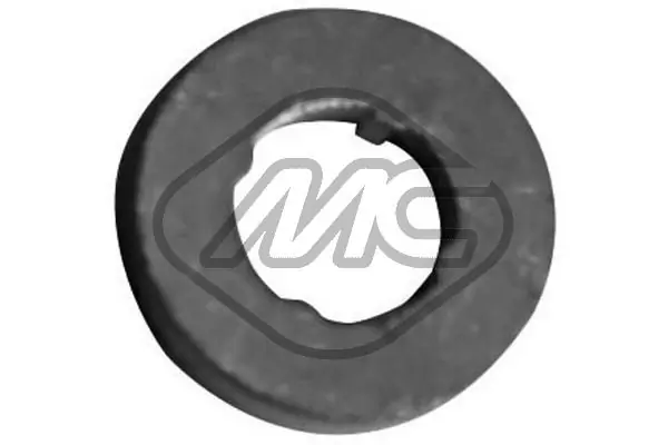 Seal Ring, injector