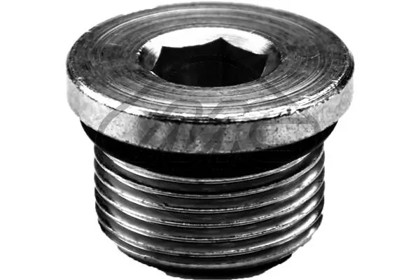 Screw Plug, oil sump
