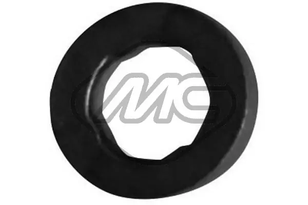 Seal Ring, injector
