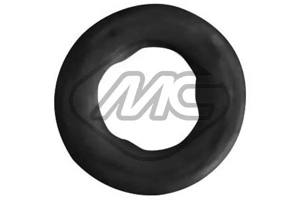 Seal Ring, injector
