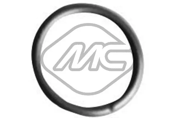 Seal Ring, injector
