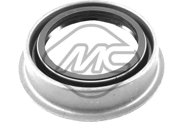 Shaft Seal, differential