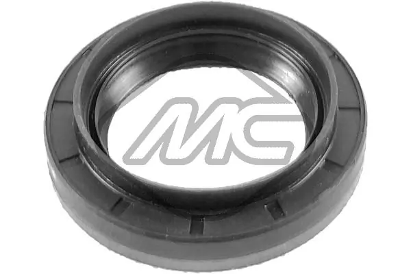 Shaft Seal, differential