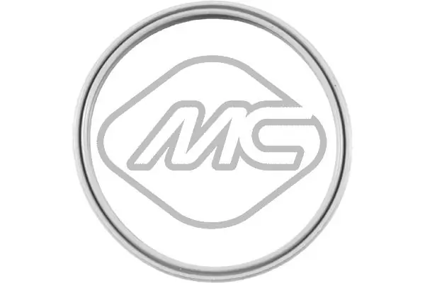 Seal Ring, charge air hose
