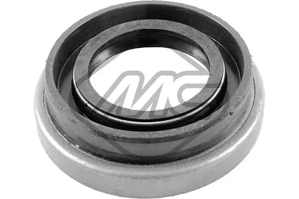 Shaft Seal, differential