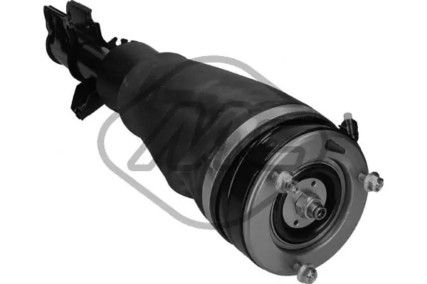 Air Suspension Strut