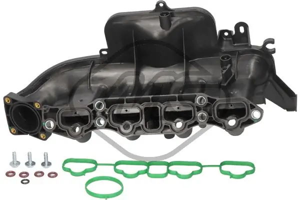 Intake Manifold Module